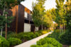 Lush greenery surrounds community pathways