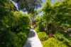 Green maple trees line the walkways through the Grove grounds.